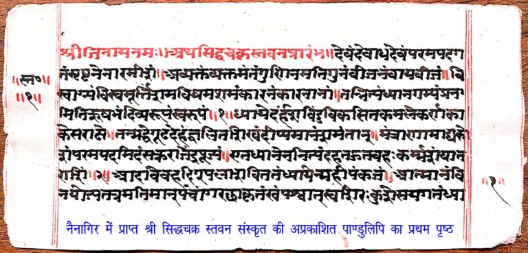 WhatsApp Image 2024-05-14 at 2.59.40 PM