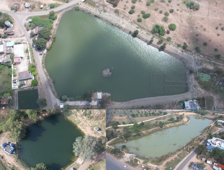 Lake Rejuvenation Collage for Media