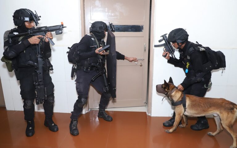 WhatsApp Image 2024-06-29 at 5.03.14 PM