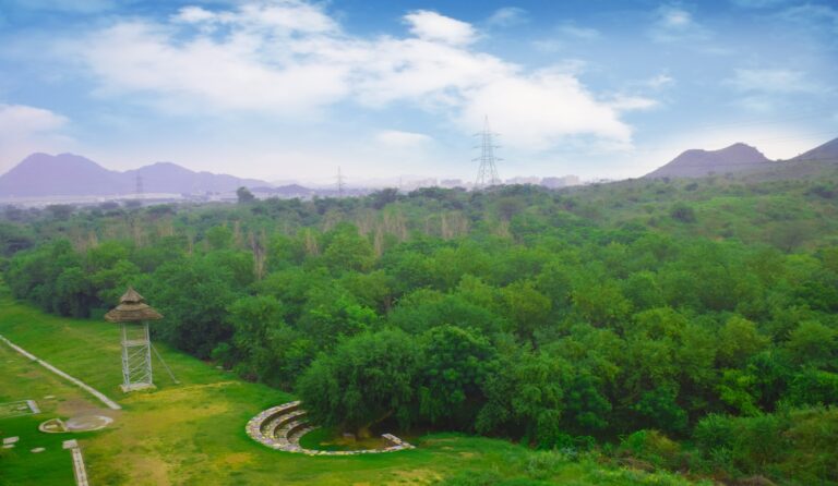 Green Belt