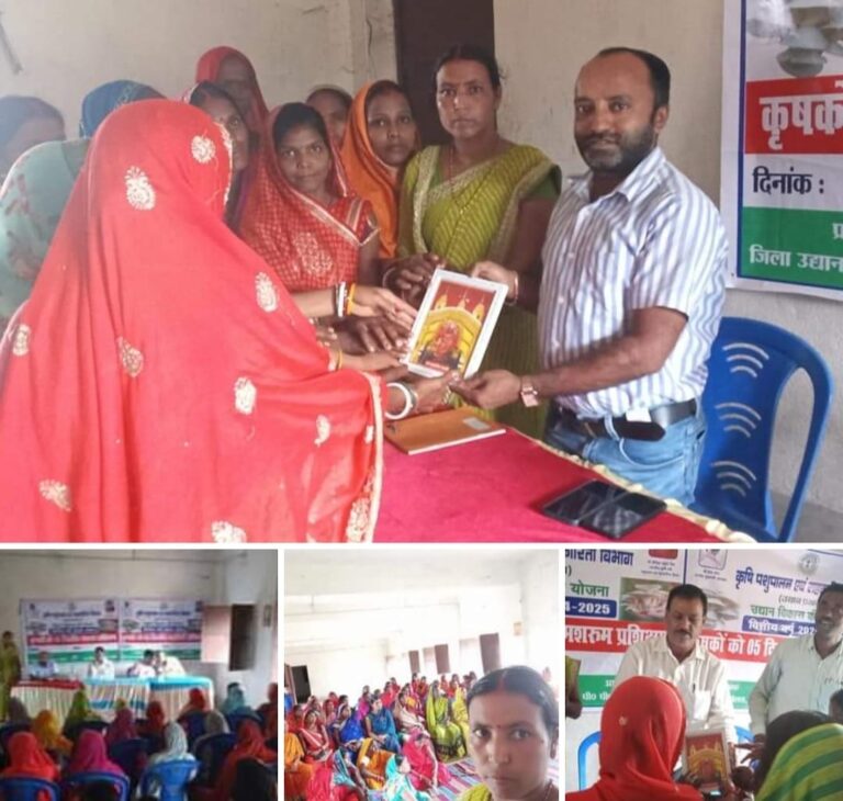 WhatsApp Image 2024-10-01 at 7.57.15 PM