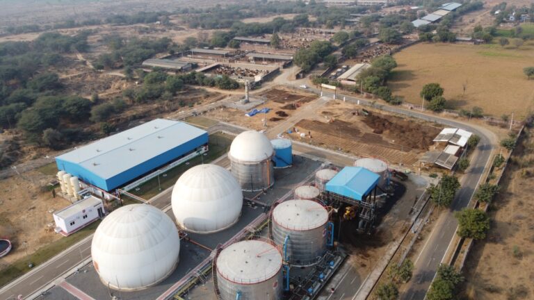 WhatsApp Image 2024-10-03 at 4.19.49 PM