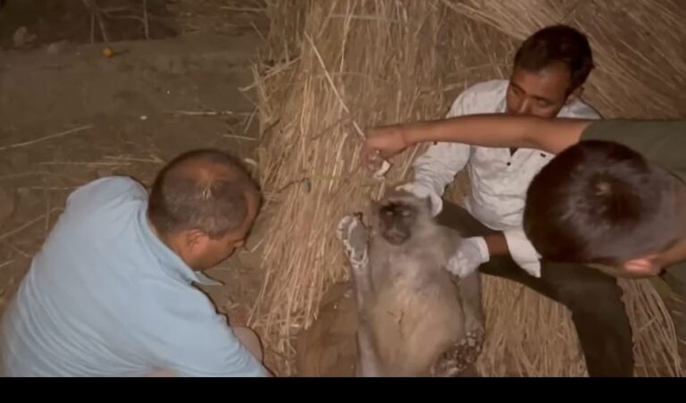 WhatsApp Image 2024-10-03 at 7.55.12 PM (1)