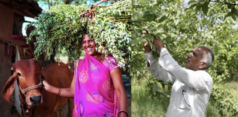 WhatsApp Image 2024-12-22 at 6.35.39 PM