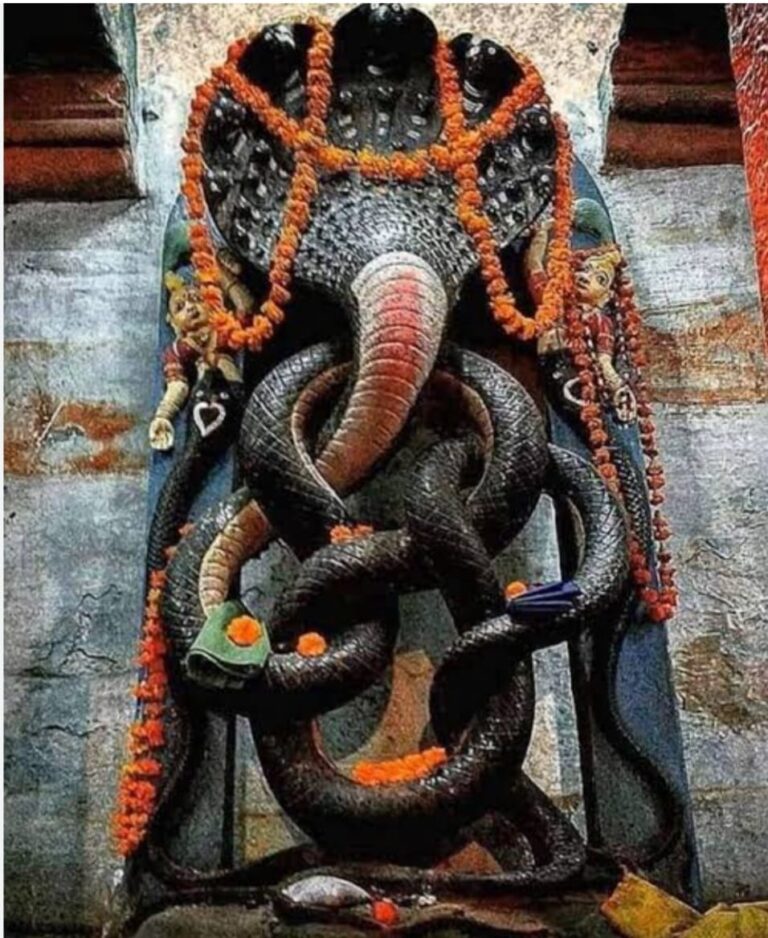 WhatsApp Image 2025-02-14 at 7.56.52 PM