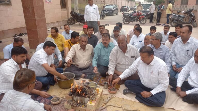 WhatsApp Image 2025-02-27 at 6.56.50 PM