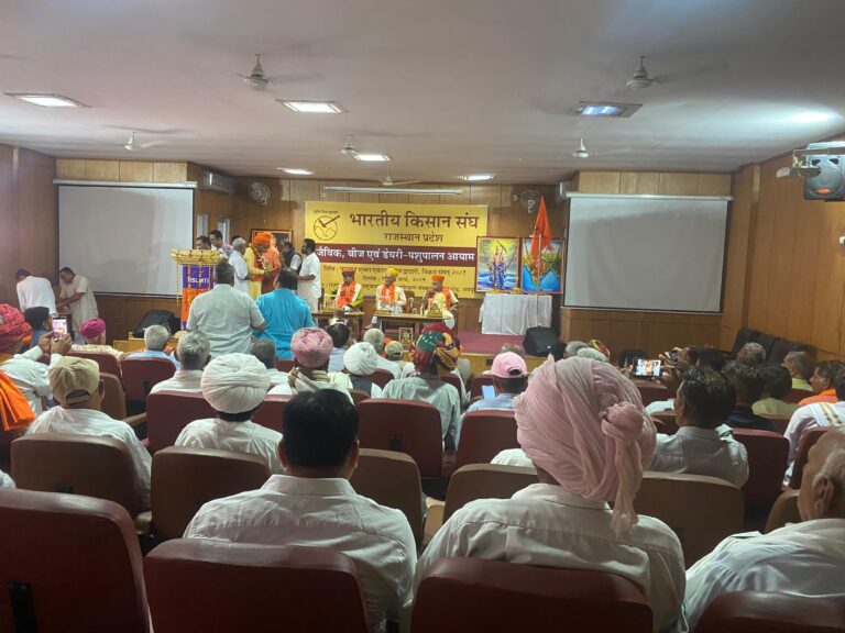 WhatsApp Image 2025-03-11 at 5.43.11 PM