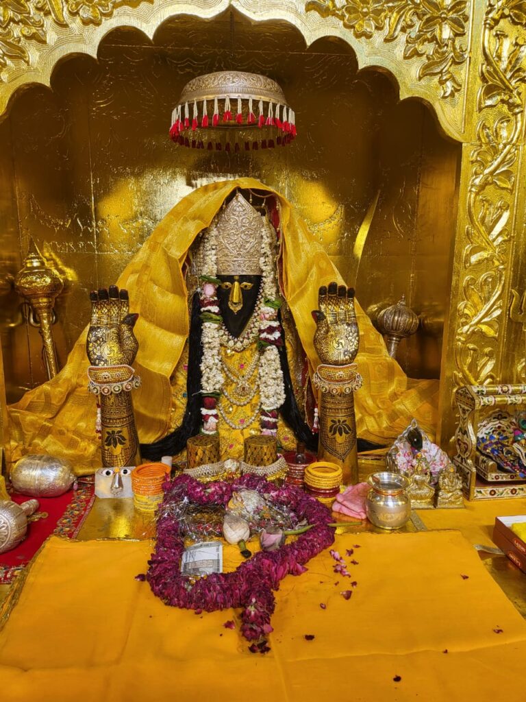 WhatsApp Image 2025-06-03 at 4.41.18 PM