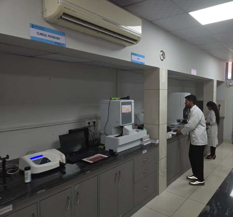 WhatsApp Image 2025-06-19 at 12.11.50 PM