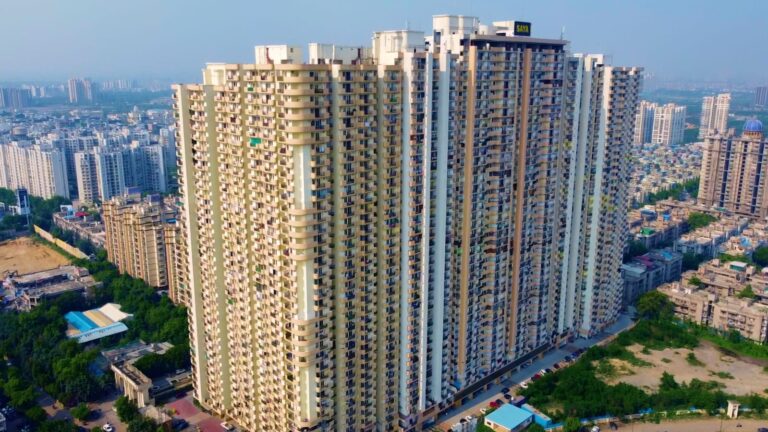 WhatsApp Image 2025-07-21 at 8.58.43 PM