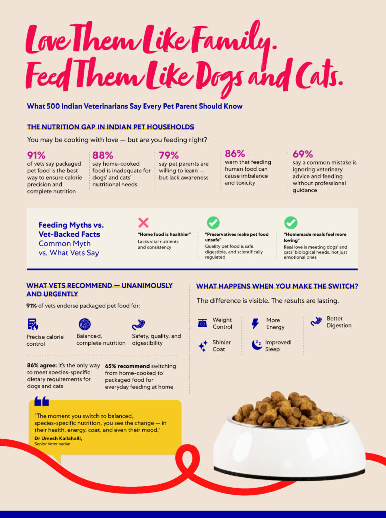 WhatsApp Image 2025-07-29 at 3.09.45 PM