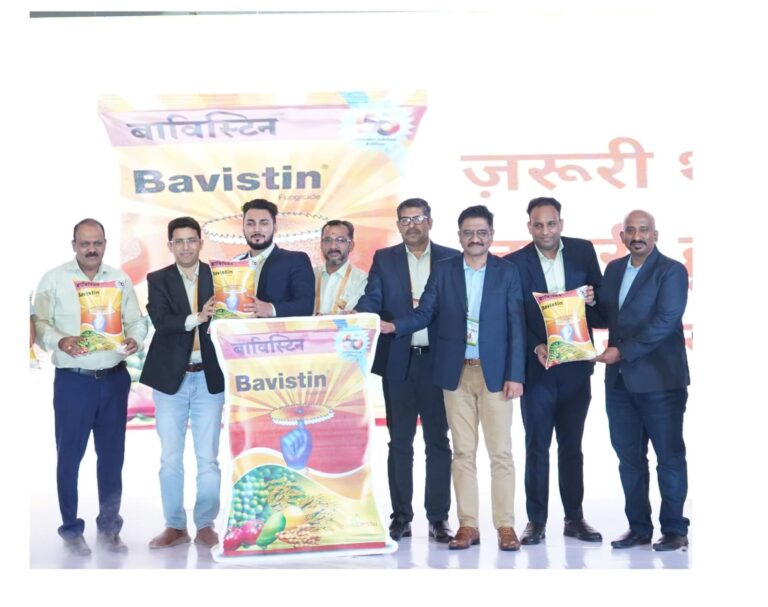 WhatsApp Image 2025-08-04 at 3.56.16 PM