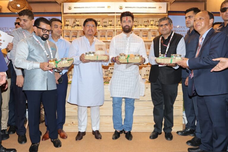 WhatsApp Image 2025-09-27 at 6.15.54 PM