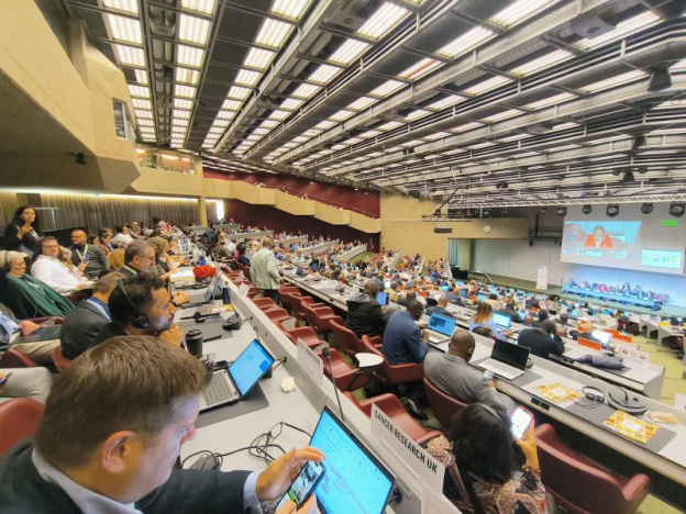 At COP11, many EU countries expressed concern that extreme tobacco control measures could indirectly increase smuggling