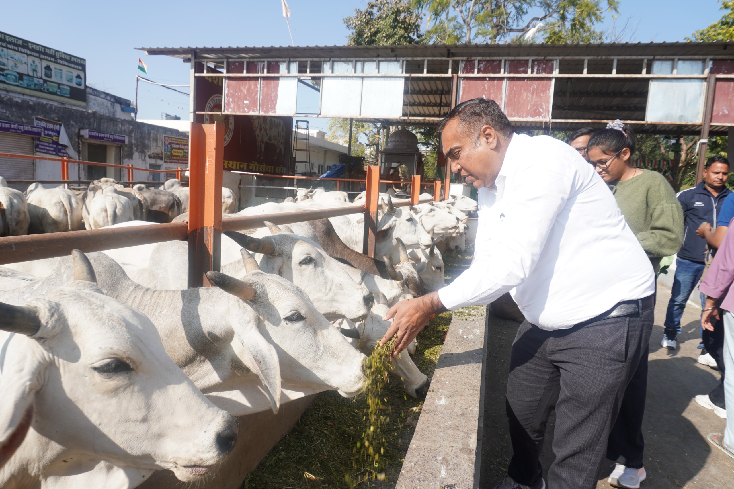 WhatsApp Image 2026-02-11 at 6.32.16 PM