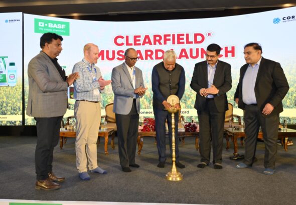 WhatsApp Image 2026-02-18 at 3.18.44 PM