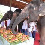 WhatsApp Image 2026-04-09 at 7.37.12 PM