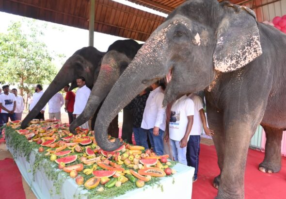 WhatsApp Image 2026-04-09 at 7.37.12 PM