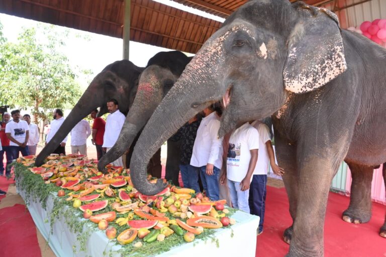 WhatsApp Image 2026-04-09 at 7.37.12 PM