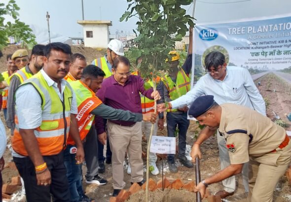 Tree Plantation