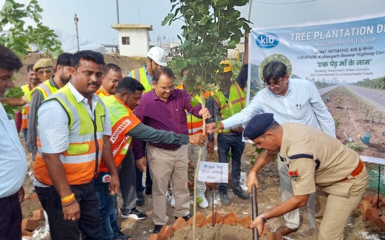 Tree Plantation