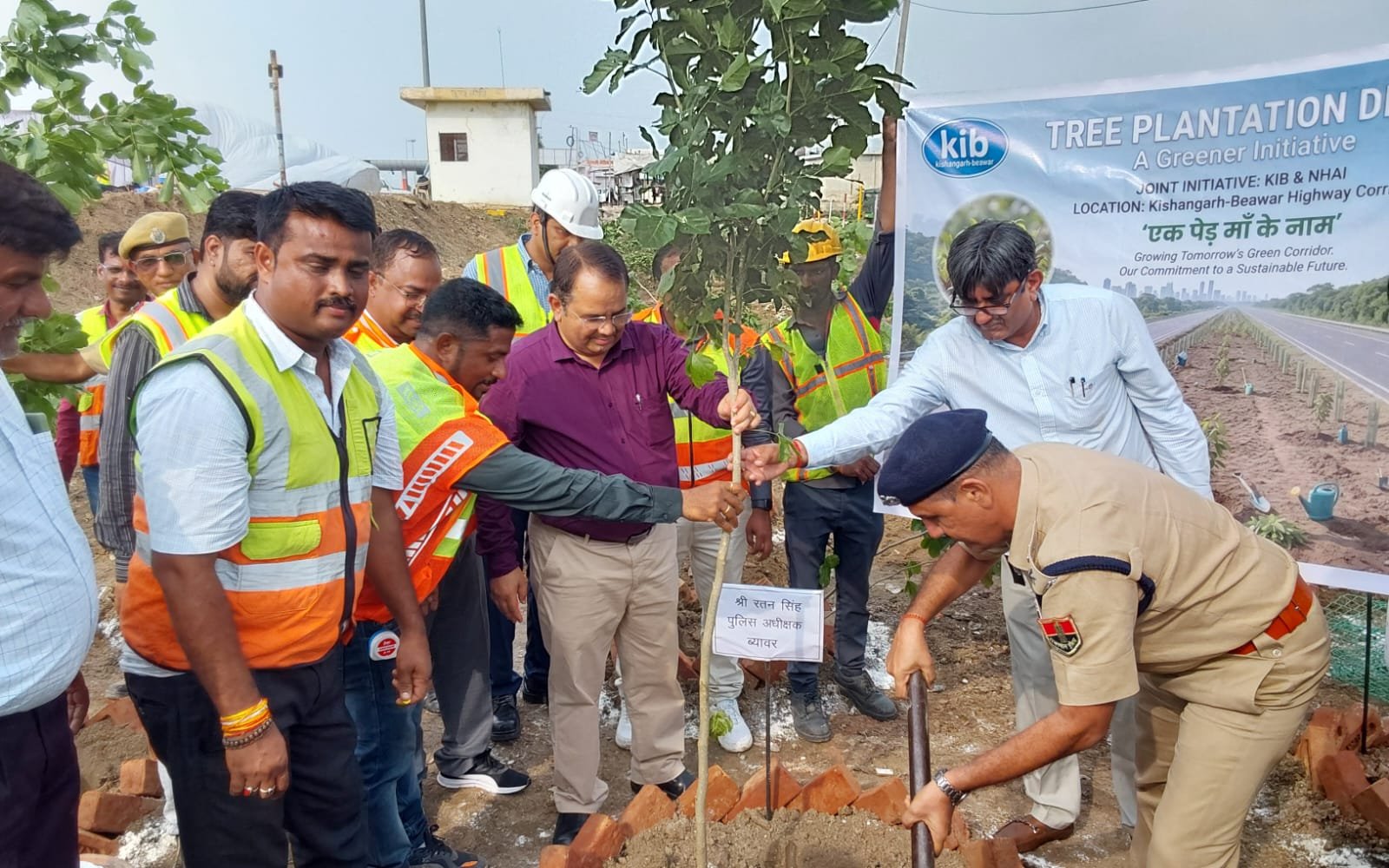 Tree Plantation