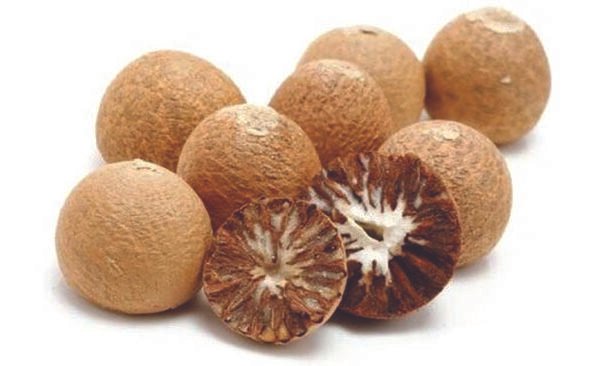 Betel nut